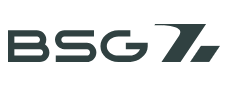 Компания BSG, таможенный представитель