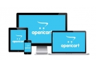 Создание сайтов на платформе OpenCart