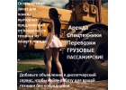 Грузовые , пассажирские перевозки , аренда спецтехники.