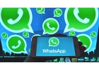 Курс обучения рассылкам Whatsapp с нуля и до профессионала